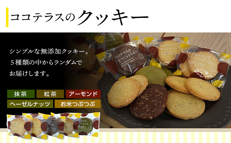 【お歳暮 外熨斗対応可能】ココテラスの新鮮な卵とお菓子の堪能セット