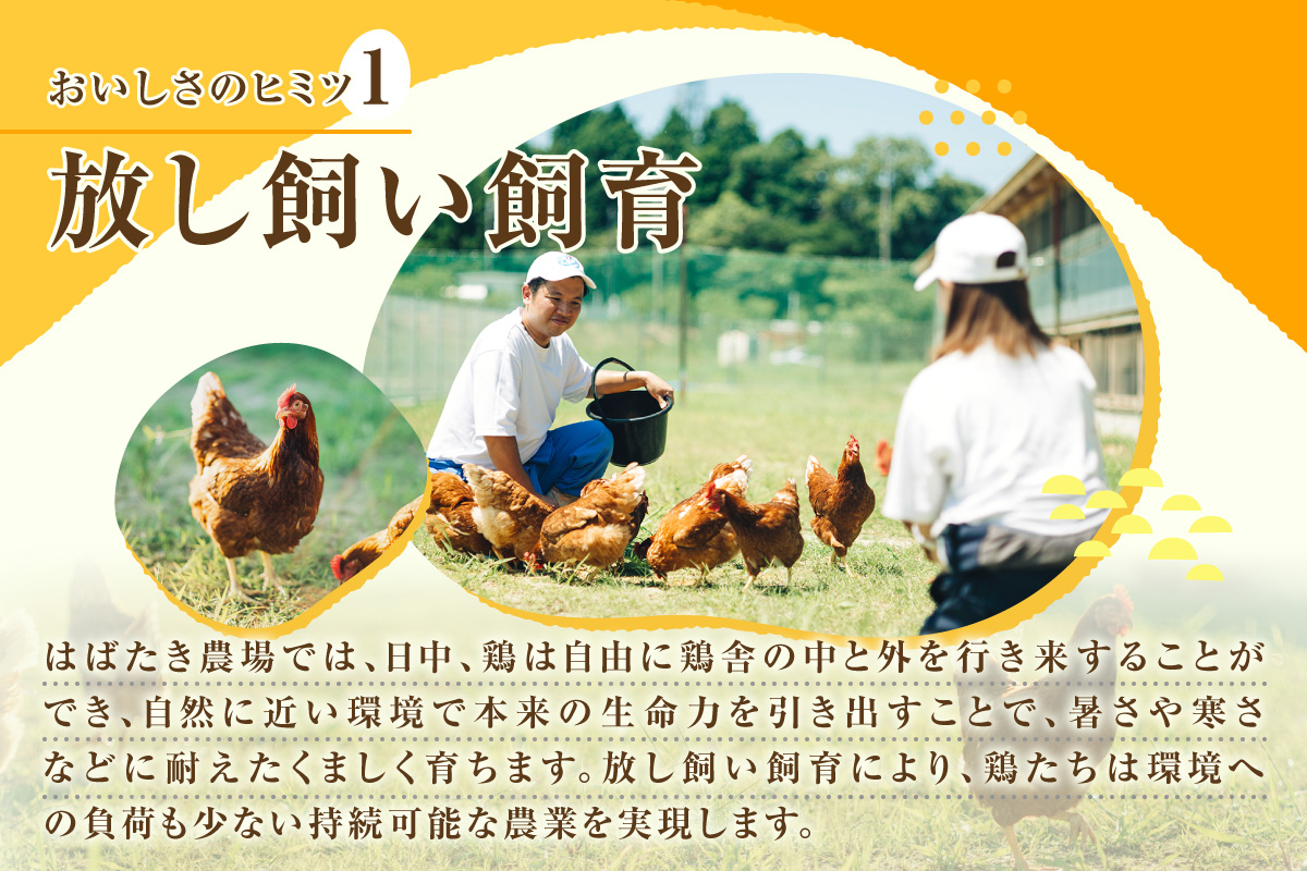 【３か月定期便】放し飼い米たまご15個+5個保証（計20個）