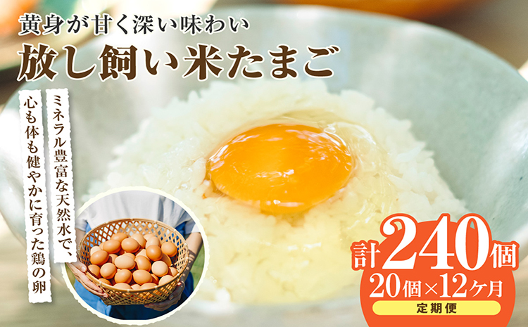 【12か月定期便】放し飼い米たまご15個+5個保証（計20個）