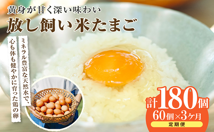 【3か月定期便】放し飼い米たまご55個+5個保証（計60個）