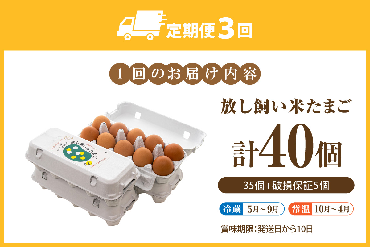 【3か月定期便】放し飼い米たまご35個+5個保証（計40個）