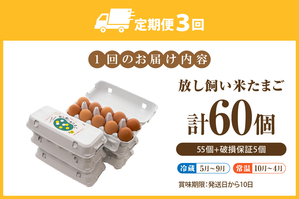 ã3ãæå®æäŸ¿ãæŸã飌ãç±³ããŸã55å+5åä¿èšŒïŒèš60åïŒ