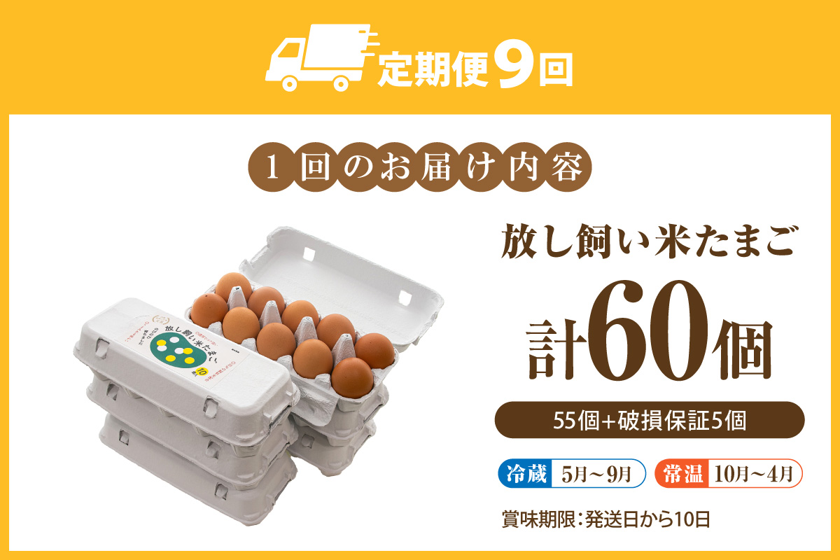 【9か月定期便】放し飼い米たまご55個+5個保証（計60個）