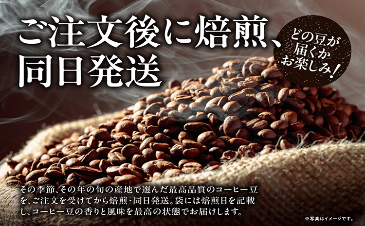 NoBlendCoffee工房‐特選スペシャルティコーヒー豆セット