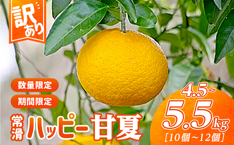 【訳あり】常滑ハッピー甘夏