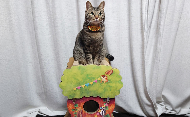 猫の爪とぎ　森のツリー