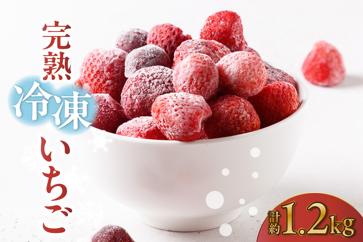 【先行予約】完熟冷凍いちご 【600g×2袋】計1.2kg いちご 苺 ストロベリー 冷凍 フローズン 美味しい 甘い 大粒 大きい 果物 フルーツ 数量限定 farmいちごろ 愛知県 常滑市