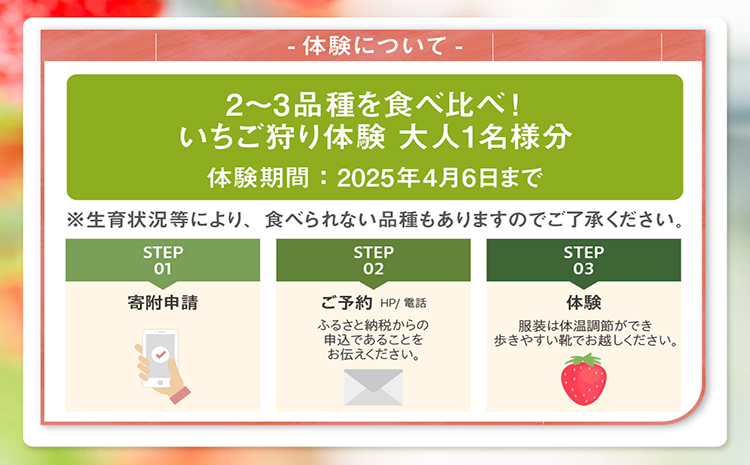 2～3品種の苺を食べ比べ！いちご狩り体験【4月6日まで】大人1名分