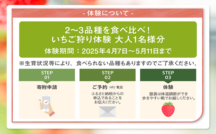 2～3品種の苺を食べ比べ！いちご狩り体験【4月7日～5月11日まで】大人1名分