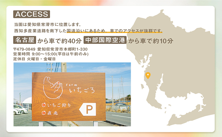 2～3品種の苺を食べ比べ！いちご狩り体験【4月7日～5月11日まで】大人1名分