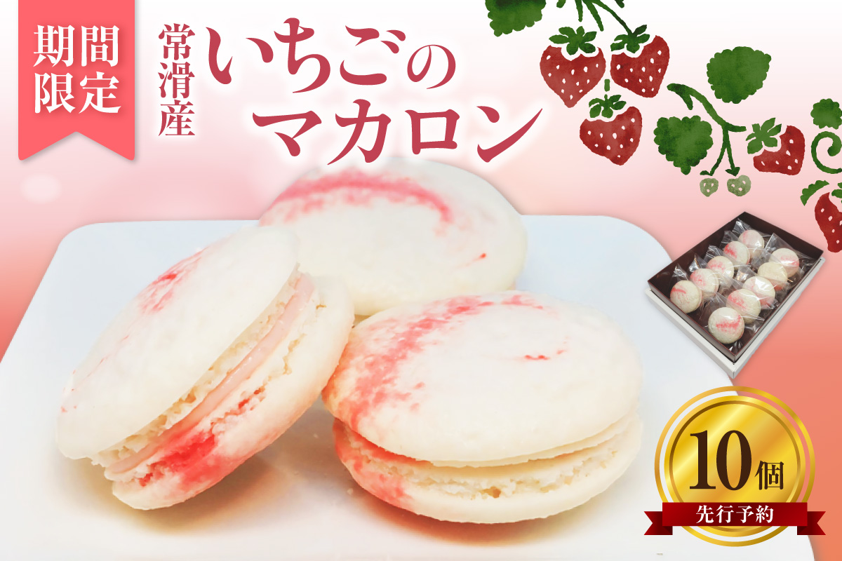 常滑いちごのマカロン10個セット | いちご 苺 ストロベリー マカロン お菓子 発酵 バター バタークリーム ご褒美 プレゼント 数量限定 パティスリーマージュ 愛知県 常滑市