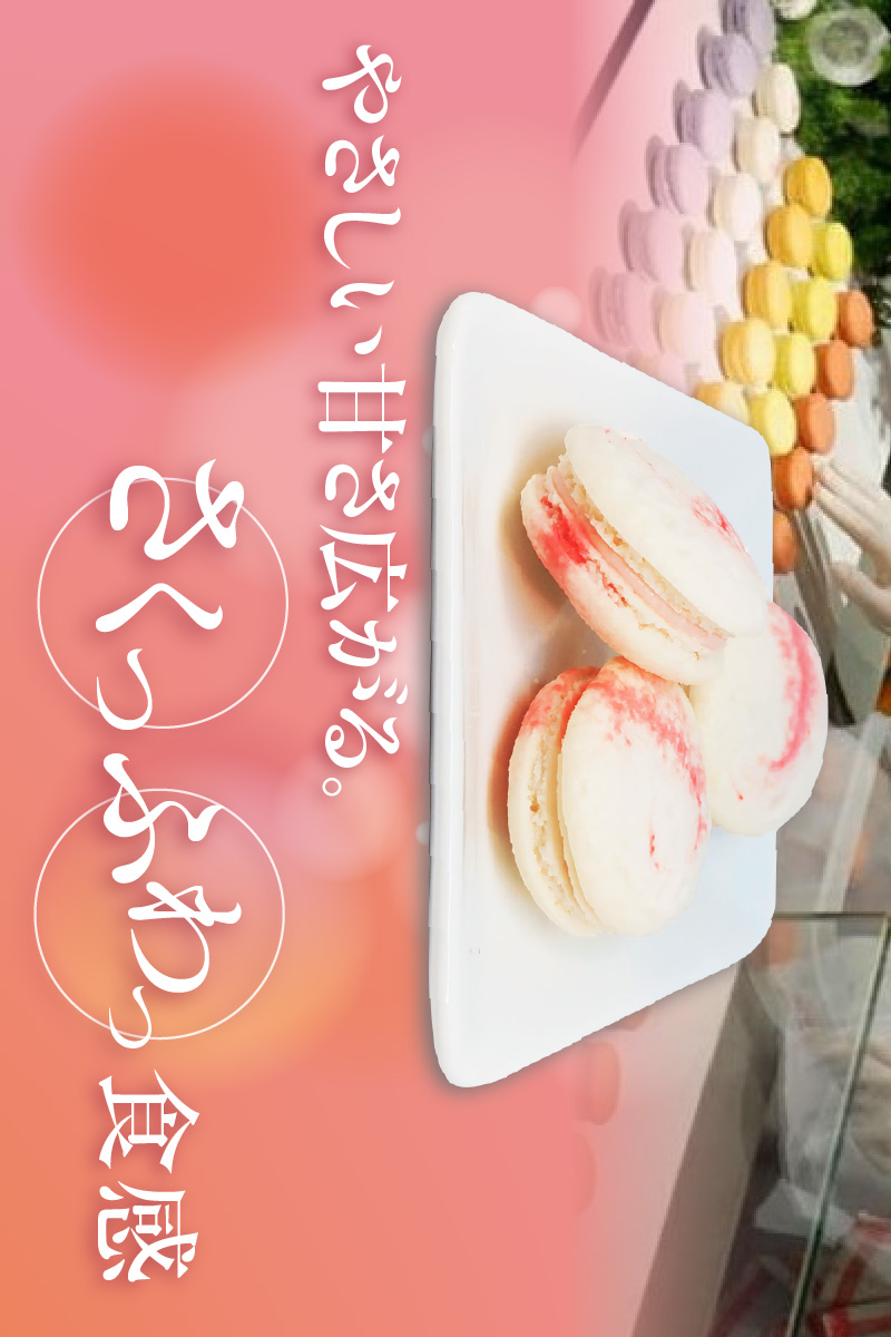 常滑いちごのマカロン10個セット | いちご 苺 ストロベリー マカロン お菓子 発酵 バター バタークリーム ご褒美 プレゼント 数量限定 パティスリーマージュ 愛知県 常滑市