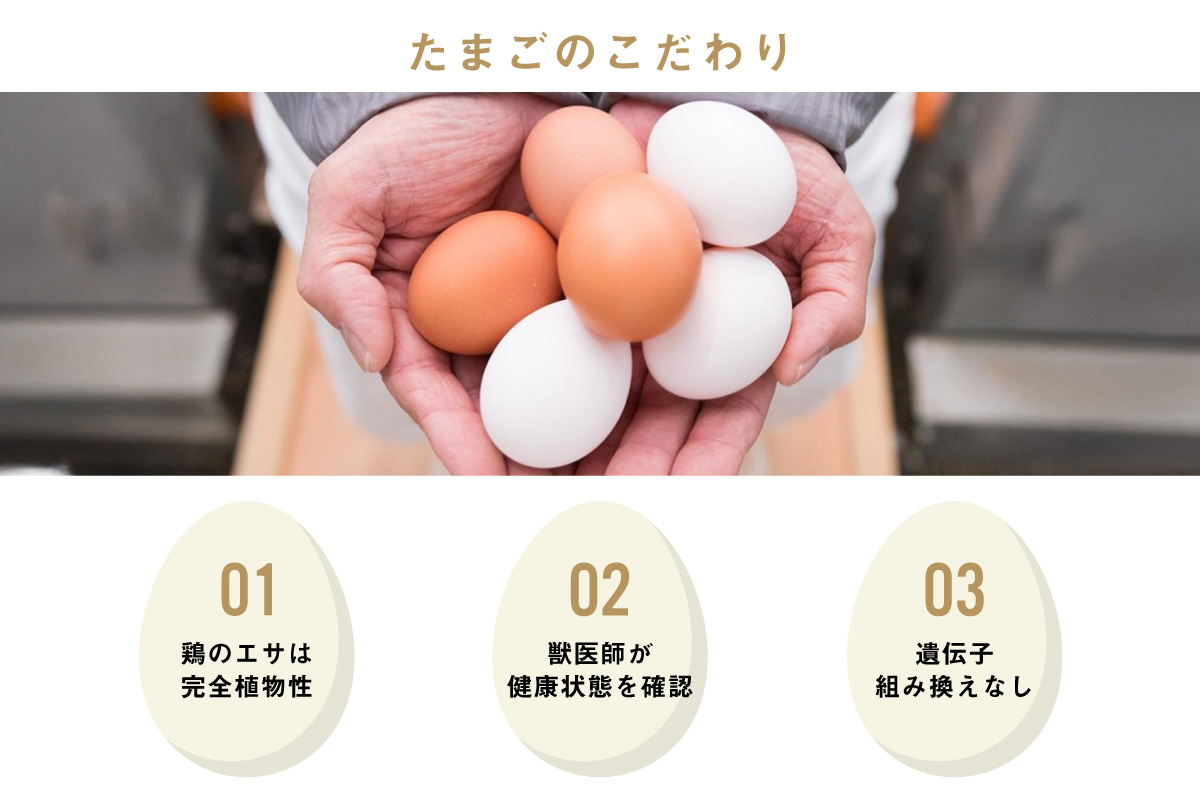 ã6ãµæå®æäŸ¿ãã³ã³ãã©ã¹ã®ææ¥ïŒèµ€ããŸãïŒ55å + 5åä¿èšŒïŒèš60åïŒãJGAPèªèšŒã