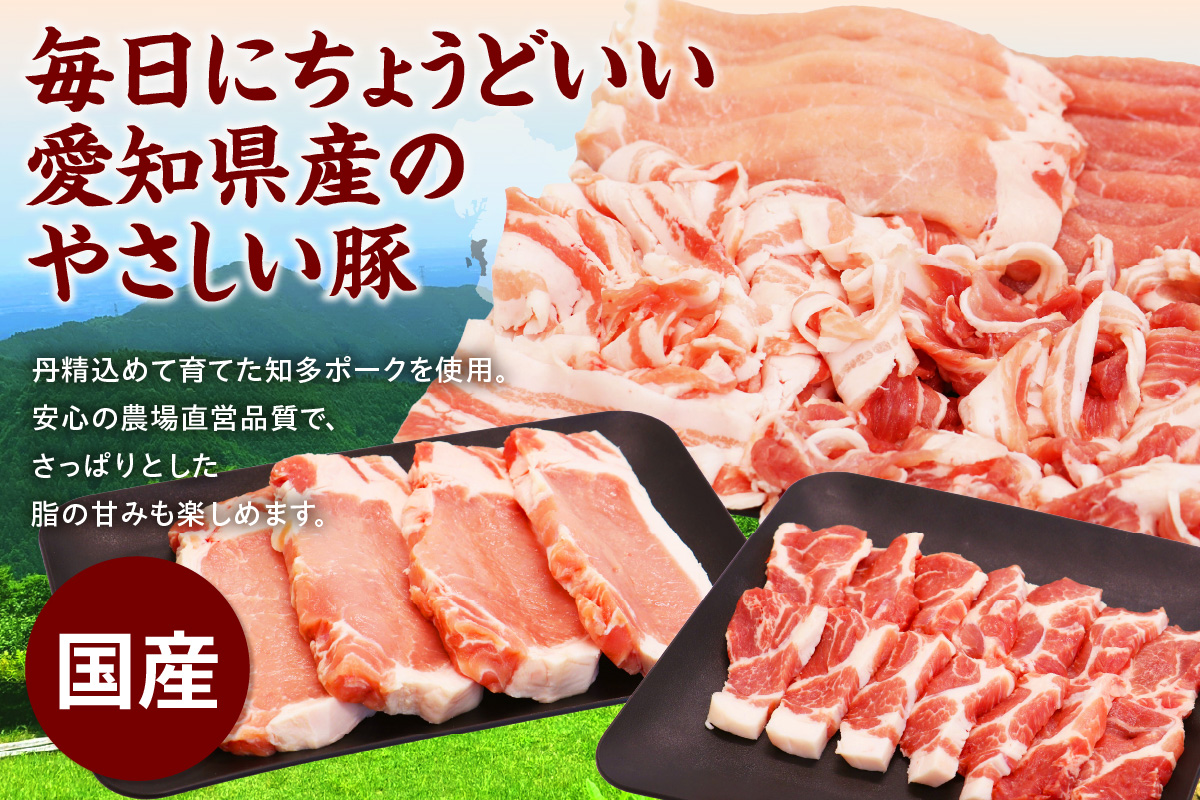 知多ポークバラエティーセット 便利な小分け 知多ポーク 自社ブランド 豚肉 焼き肉 焼きそば 炒め物 とんかつ しゃぶしゃぶ 焼肉 豚バラ 豚ロース 豚肩ロース 豚モモ うす切り 豚小間切れ とんとことん 知多ピッグ ブランド豚 豚 農場 農場直営 愛知県産豚肉 国産 常滑市 ふるさと納税