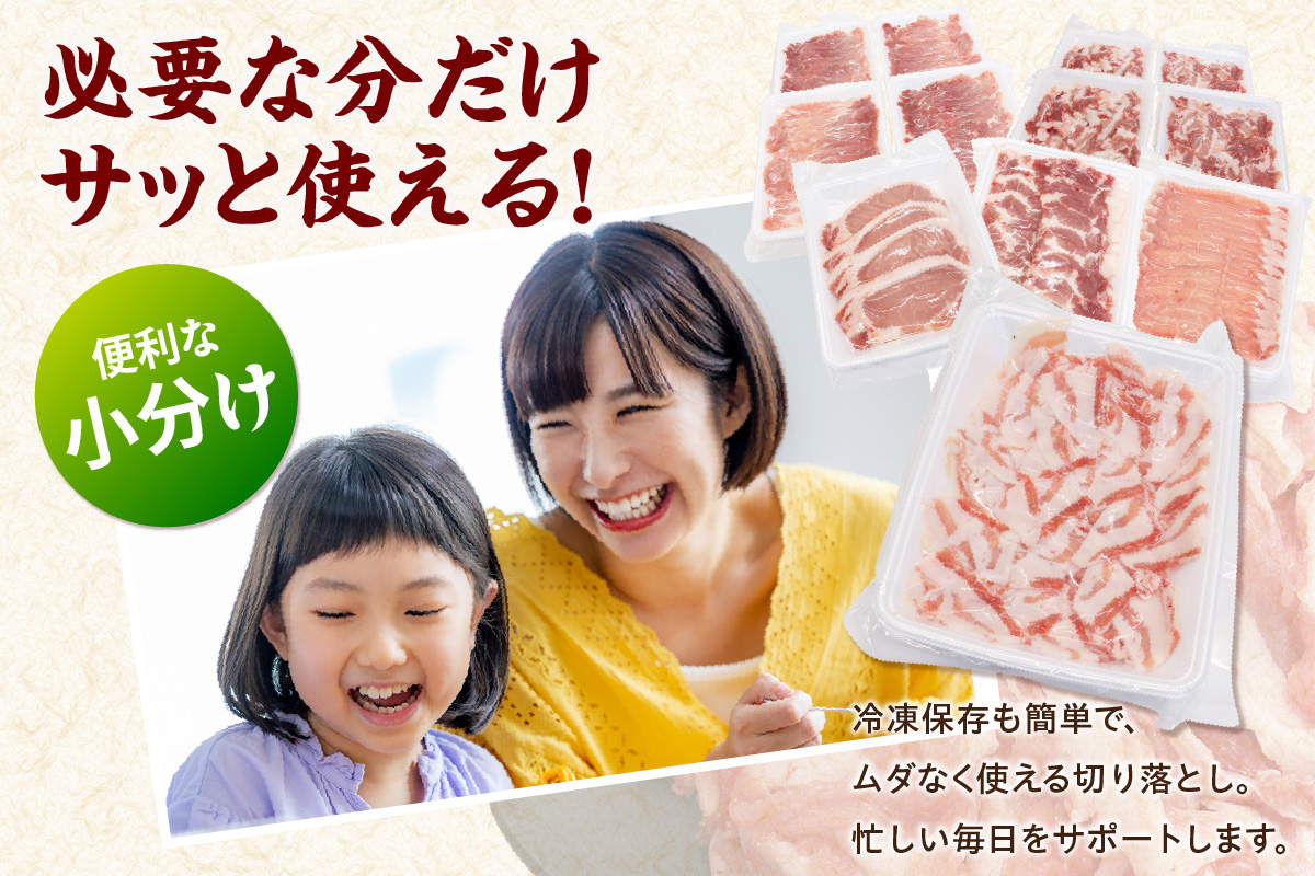 知多ポークバラエティーセット 便利な小分け 知多ポーク 自社ブランド 豚肉 焼き肉 焼きそば 炒め物 とんかつ しゃぶしゃぶ 焼肉 豚バラ 豚ロース 豚肩ロース 豚モモ うす切り 豚小間切れ とんとことん 知多ピッグ ブランド豚 豚 農場 農場直営 愛知県産豚肉 国産 常滑市 ふるさと納税