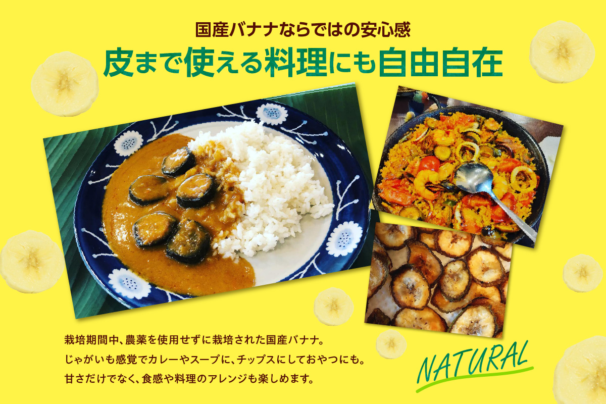 グリーンバナナ（ななばなな）1kg | バナナ ばなな フルーツ 果物 グリーンバナナ 緑バナナ 追熟 南国 産地直送 常滑市産 愛知県産 国内産 健康 就労支援 農業 アスナロファーム 愛知県 常滑市