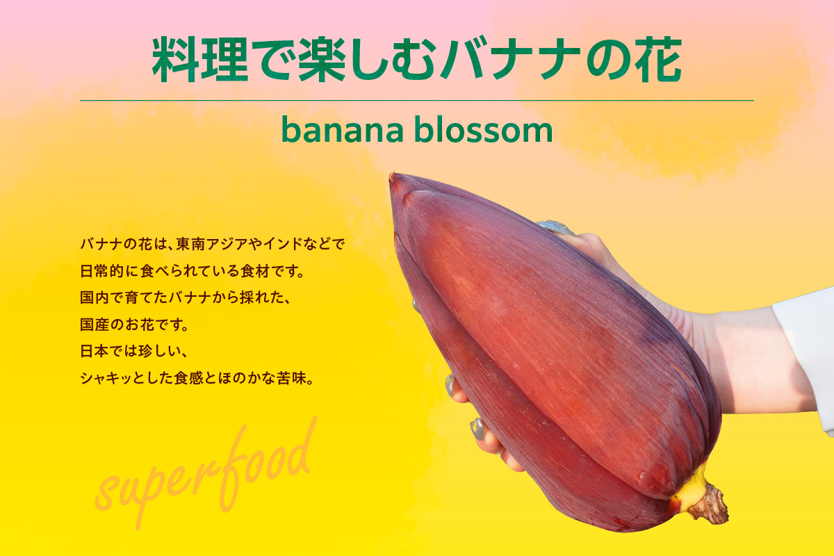 ãããã®è±ã1åïŒ300g以äžïŒ | ããã ã°ãªãª è± æç© ãã«ãŒã ãããããŒã 貎é ååœ ç£å°çŽé åžžæ»åžç£ æç¥çç£ åœå
ç£ å¥åº· å°±åŽæ¯æŽ èŸ²æ¥ ã¢ã¹ãããã¡ãŒã æç¥ç åžžæ»åž
