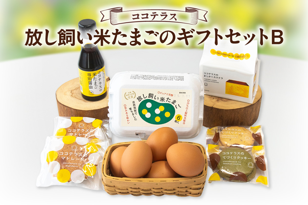 放し飼い米たまごのギフトセットB｜放し飼い米たまご マドレーヌ クッキー ましかくカステラ 醤油 たまご専用醤油 料理 タマゴ 卵 鶏卵 焼き菓子 洋菓子 グルメ スイーツ お取り寄せ 詰め合わせ ギフト 贈り物 プレゼント 愛知県 常滑市