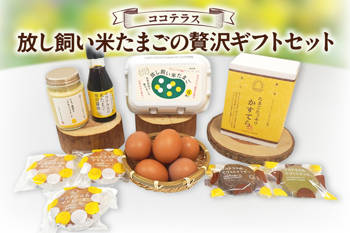 放し飼い米たまごの”贅沢”ギフトセット｜放し飼い米たまご マドレーヌ クッキー マヨネーズ カステラ 醤油 たまご専用醤油 料理 タマゴ 卵 鶏卵 焼き菓子 洋菓子 グルメ スイーツ お取り寄せ 詰め合わせ ギフト 贈り物 プレゼント 愛知県 常滑市