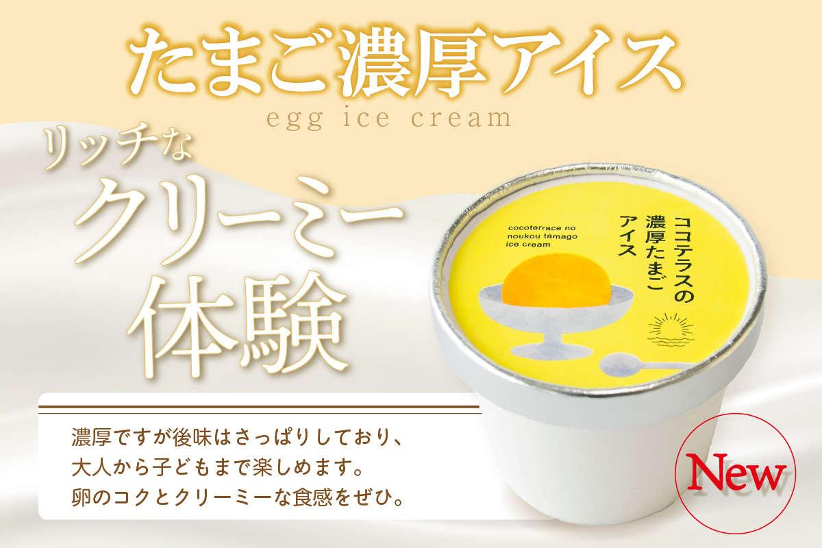 たまご濃厚アイスとバスクチーズケーキのセット（各2個　計4個セット）｜洋菓子 北海道産 卵 バニラ アイス アイスクリーム チーズケーキ バスクチーズケーキ 子どものおやつ おやつ ティータイム ギフト 手土産 こだわりスイーツ デザート ココテラス