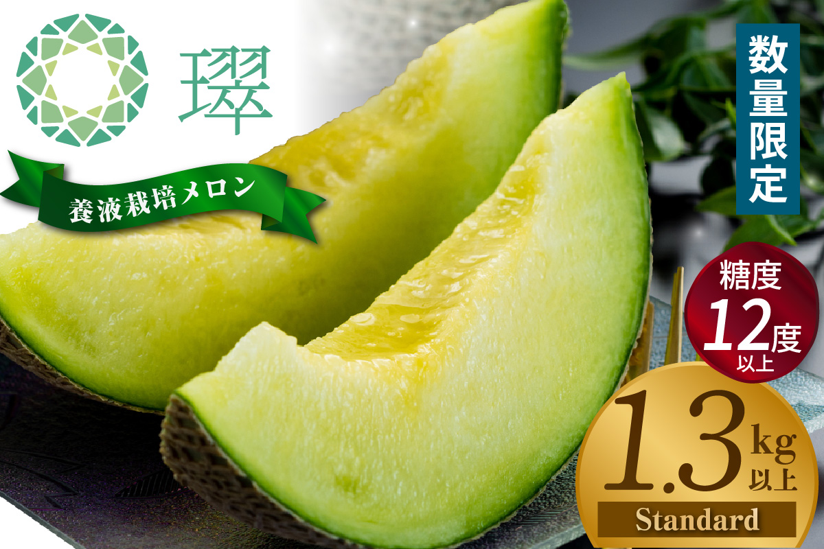 養液栽培メロン「璻」1玉【Standard】（糖度12度以上、重さ1.3㎏以上）│メロン めろん 果物 フルーツ 高級 旬 お取り寄せ 青肉 ご褒美 グルメ 璻 甘い 愛知県 常滑市