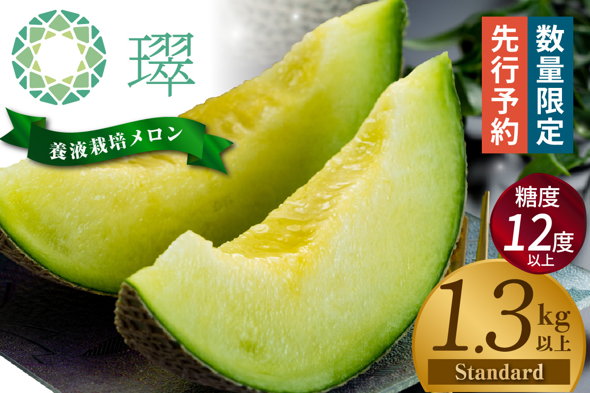 【先行予約】養液栽培メロン「璻」1玉【Standard】（糖度12度以上、重さ1.3㎏以上）│メロン めろん 果物 フルーツ 高級 旬 お取り寄せ 青肉 ご褒美 グルメ 璻 甘い 愛知県 常滑市