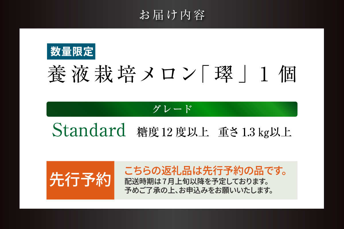 【先行予約】養液栽培メロン「璻」1玉【Standard】（糖度12度以上、重さ1.3㎏以上）│メロン めろん 果物 フルーツ 高級 旬 お取り寄せ 青肉 ご褒美 グルメ 璻 甘い 愛知県 常滑市
