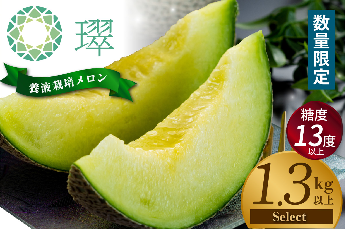 養液栽培メロン「璻」1玉【Select】（糖度13度以上、重さ1.3㎏以上）【熨斗対応可能】│メロン めろん 果物 フルーツ 高級 旬 お取り寄せ 青肉 ご褒美 グルメ 璻 甘い 愛知県 常滑市