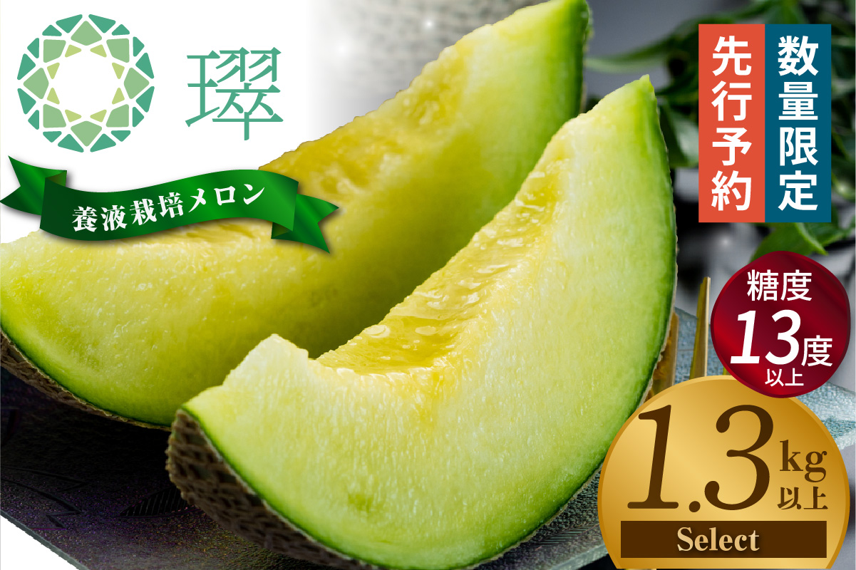 【先行予約】養液栽培メロン「璻」1玉【Select】（糖度13度以上、重さ1.3㎏以上）【熨斗対応可能】│メロン めろん 果物 フルーツ 高級 旬 お取り寄せ 青肉 ご褒美 グルメ 璻 甘い 愛知県 常滑市