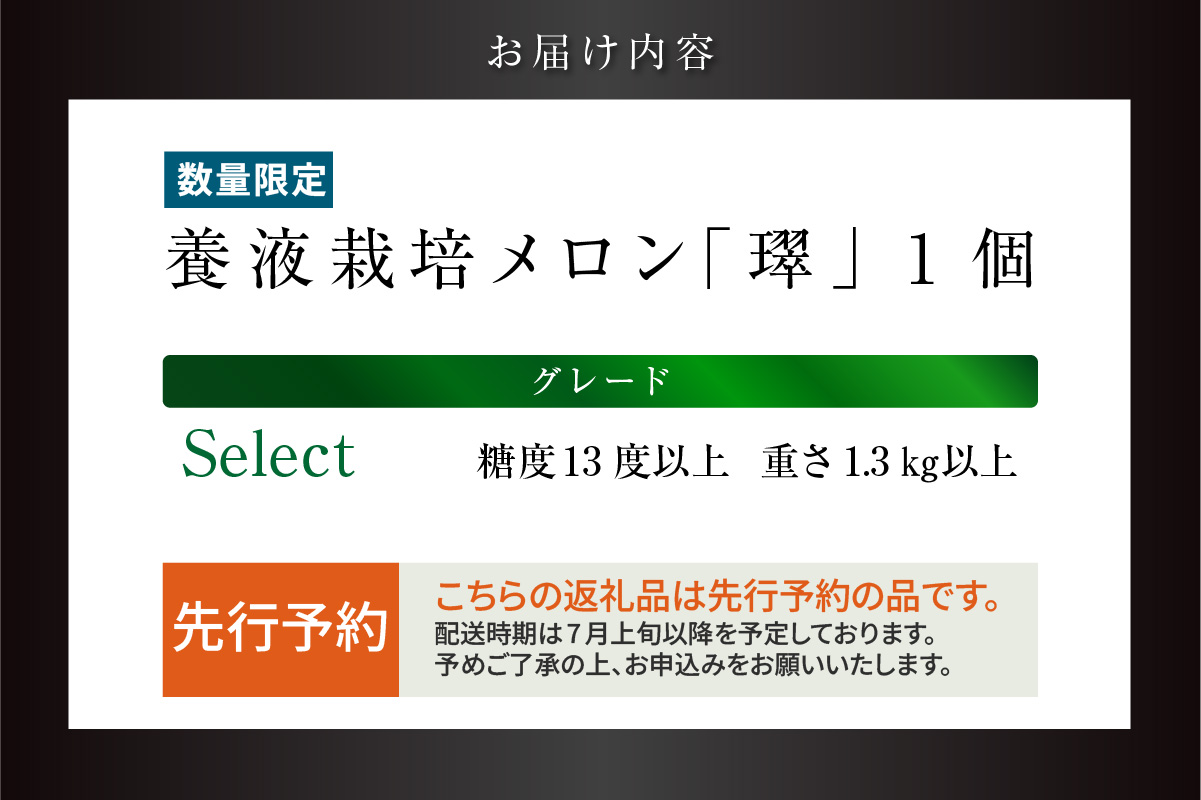 【先行予約】養液栽培メロン「璻」1玉【Select】（糖度13度以上、重さ1.3㎏以上）【熨斗対応可能】│メロン めろん 果物 フルーツ 高級 旬 お取り寄せ 青肉 ご褒美 グルメ 璻 甘い 愛知県 常滑市