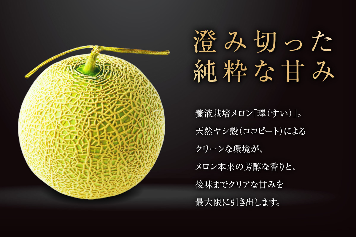 【先行予約】養液栽培メロン「璻」1玉【Select】（糖度13度以上、重さ1.3㎏以上）【熨斗対応可能】│メロン めろん 果物 フルーツ 高級 旬 お取り寄せ 青肉 ご褒美 グルメ 璻 甘い 愛知県 常滑市