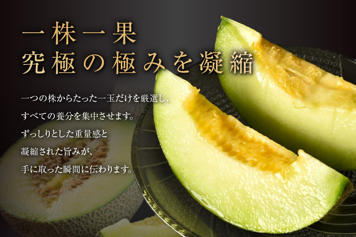 【先行予約】養液栽培メロン「璻」1玉【Select】（糖度13度以上、重さ1.3㎏以上）【熨斗対応可能】│メロン めろん 果物 フルーツ 高級 旬 お取り寄せ 青肉 ご褒美 グルメ 璻 甘い 愛知県 常滑市