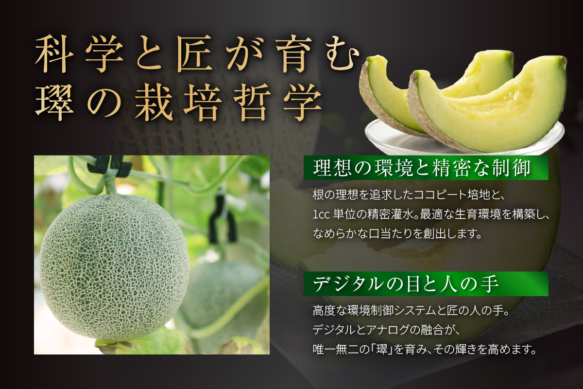 【先行予約】養液栽培メロン「璻」1玉【Select】（糖度13度以上、重さ1.3㎏以上）【熨斗対応可能】│メロン めろん 果物 フルーツ 高級 旬 お取り寄せ 青肉 ご褒美 グルメ 璻 甘い 愛知県 常滑市