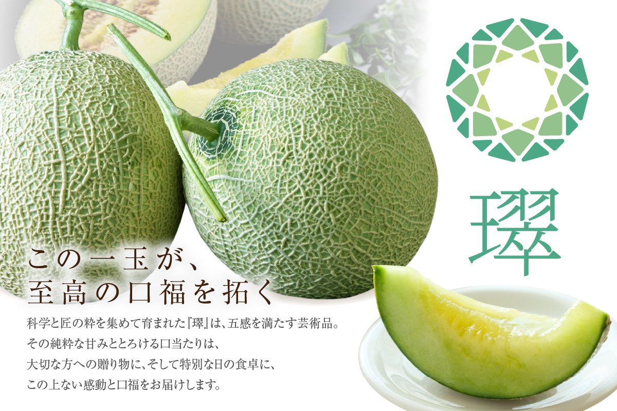 【先行予約】養液栽培メロン「璻」1玉【Select】（糖度13度以上、重さ1.3㎏以上）【熨斗対応可能】│メロン めろん 果物 フルーツ 高級 旬 お取り寄せ 青肉 ご褒美 グルメ 璻 甘い 愛知県 常滑市