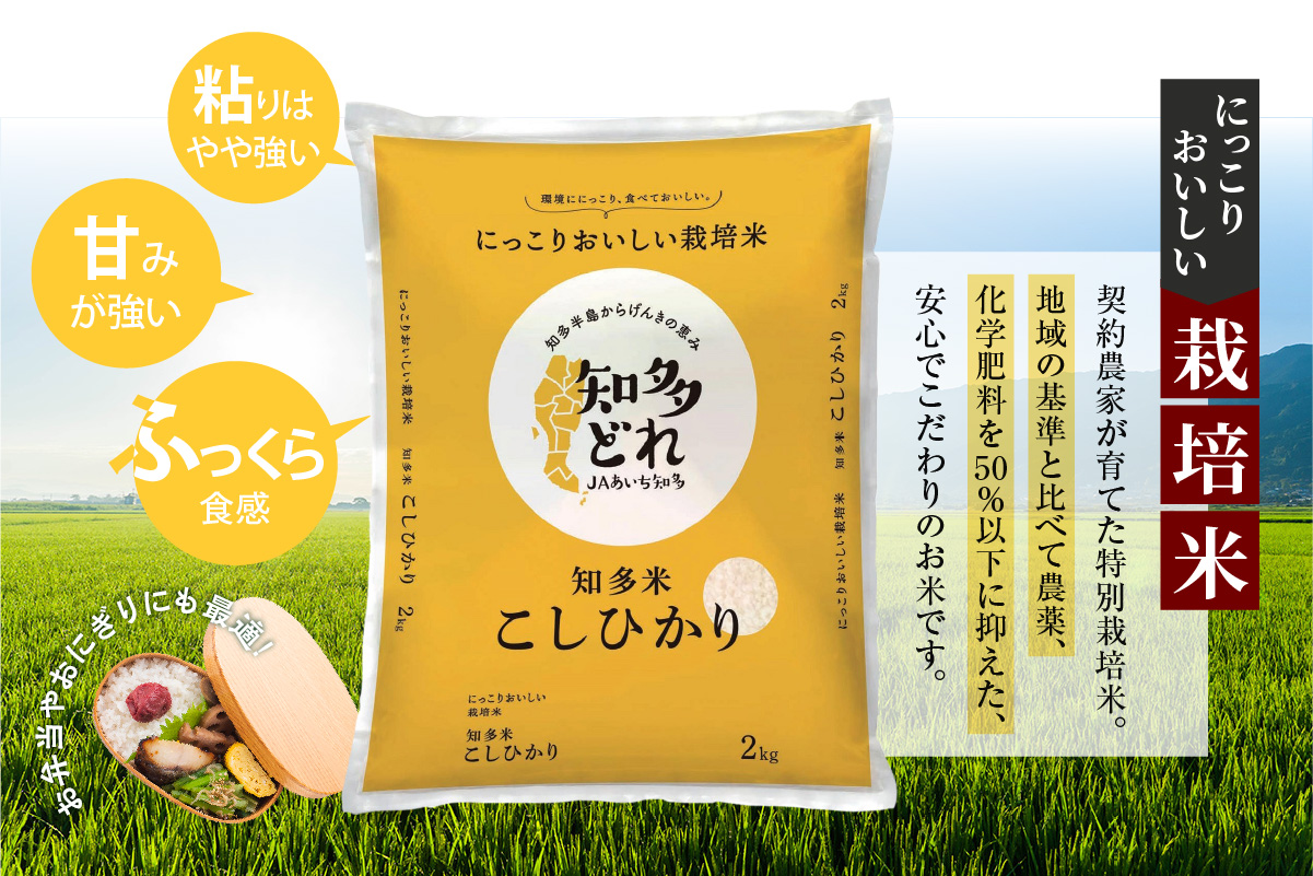 にっこりおいしい栽培米　知多米こしひかり（2kg）│知多米 米 お米 こしひかり コシヒカリ 精米 栽培米 ブランド米 美味しい 国産 愛知県産 減農薬 減化学肥料 JAあいち知多 愛知県 常滑市