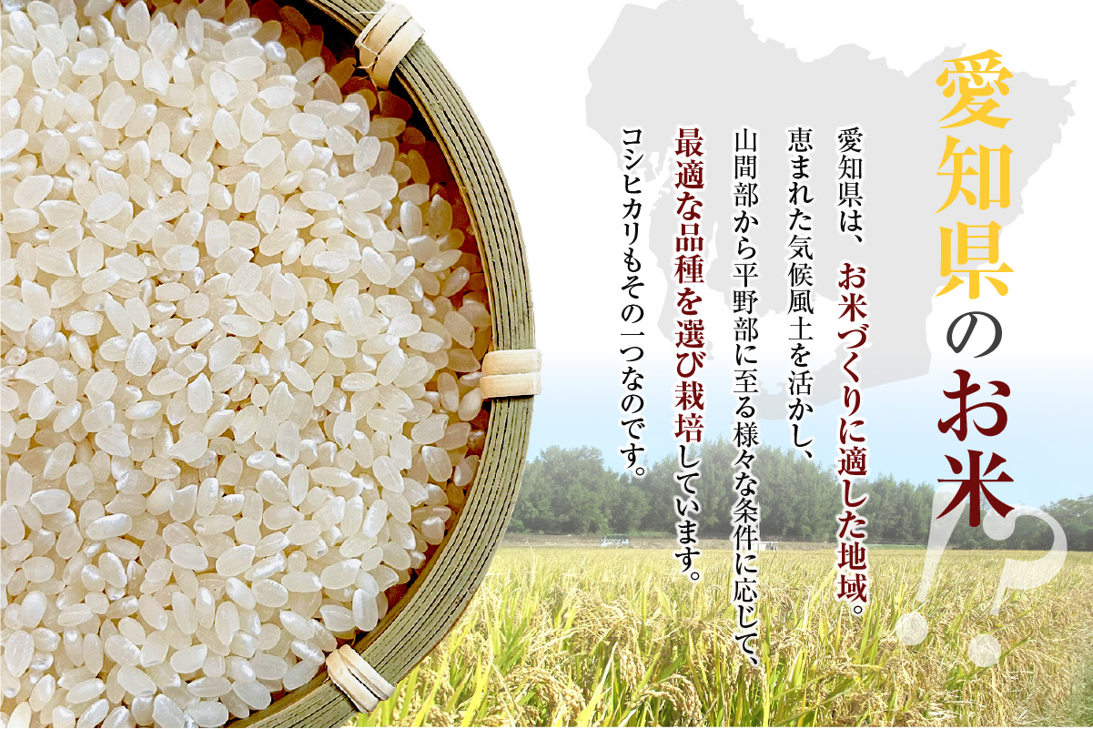 にっこりおいしい栽培米　知多米こしひかり（2kg）│知多米 米 お米 こしひかり コシヒカリ 精米 栽培米 ブランド米 美味しい 国産 愛知県産 減農薬 減化学肥料 JAあいち知多 愛知県 常滑市