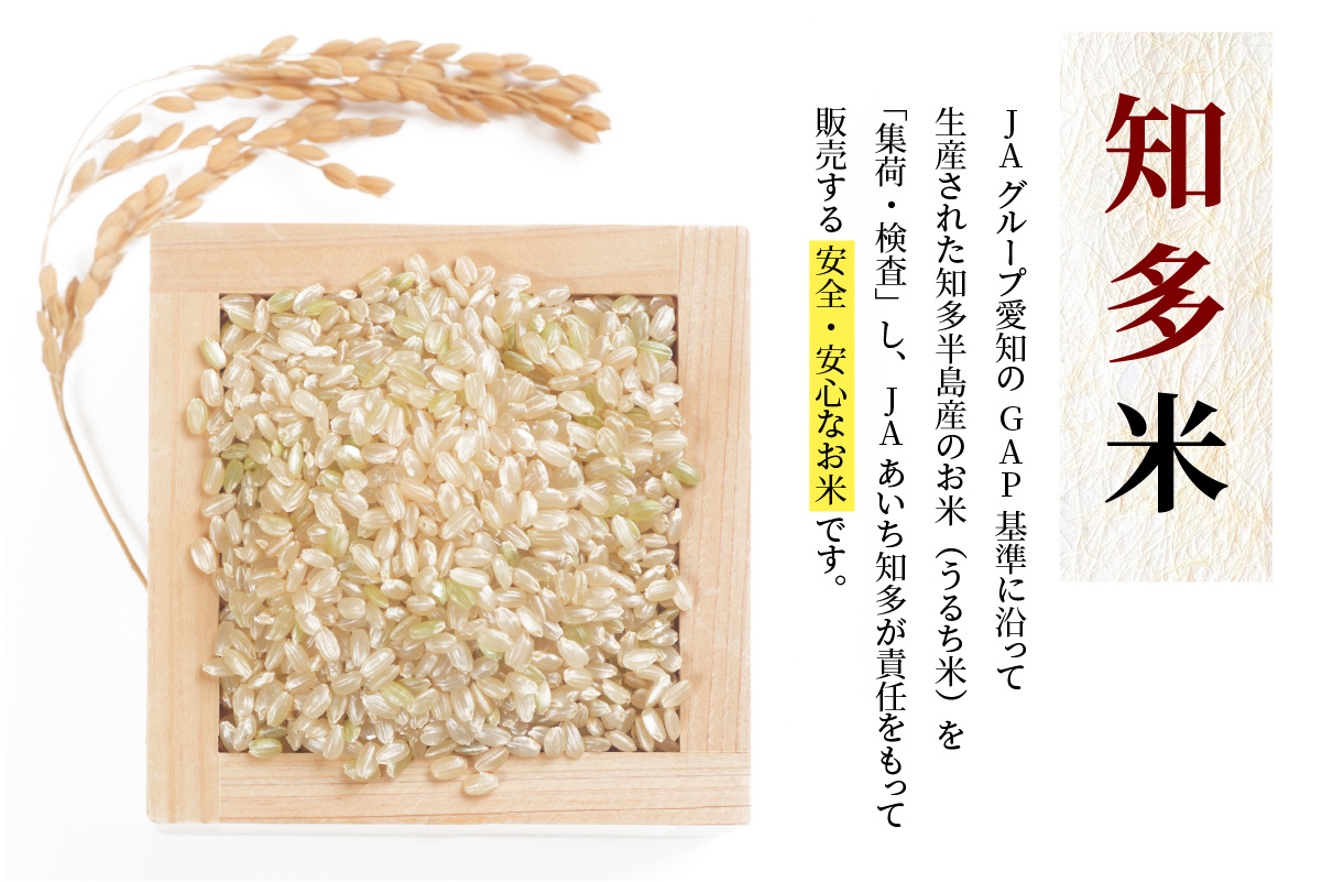 知多米あいちのこころ（5kg）│知多米 米 お米 あいちのこころ 精米 ブランド米 美味しい 国産 愛知県産 JAあいち知多 愛知県 常滑市
