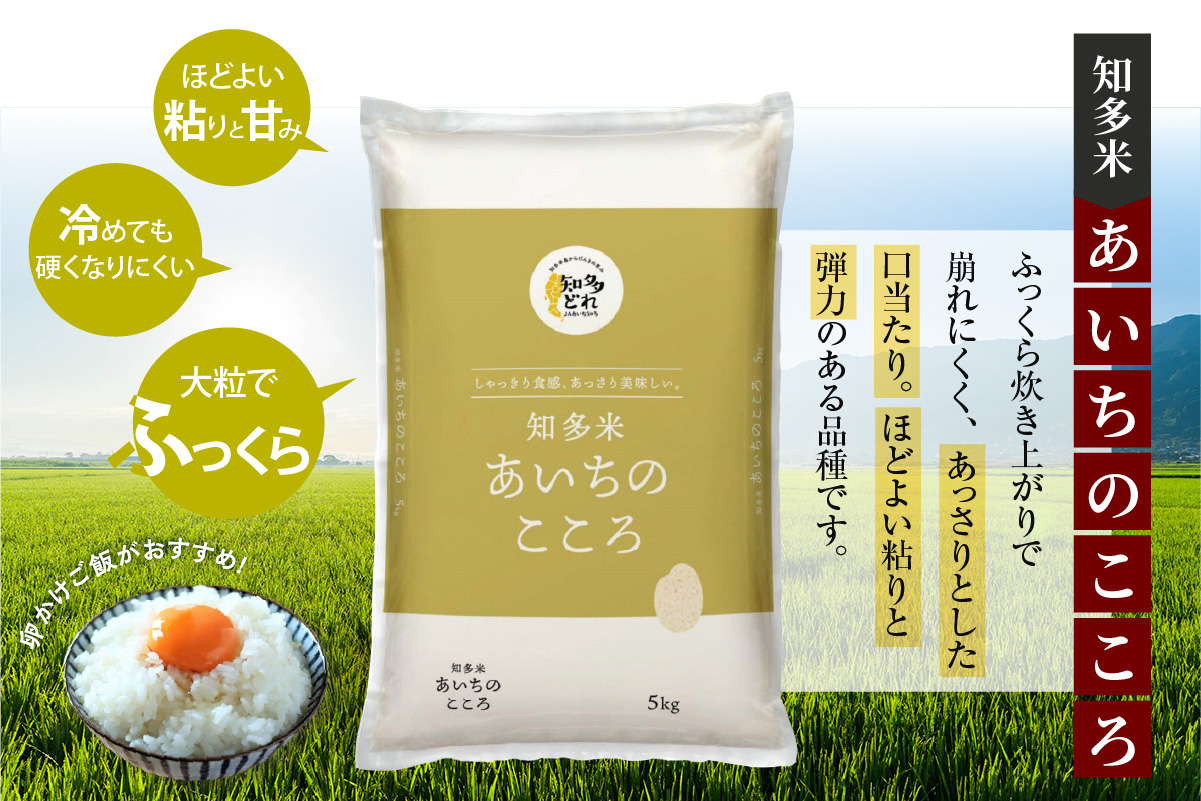 知多米あいちのこころ（5kg）│知多米 米 お米 あいちのこころ 精米 ブランド米 美味しい 国産 愛知県産 JAあいち知多 愛知県 常滑市