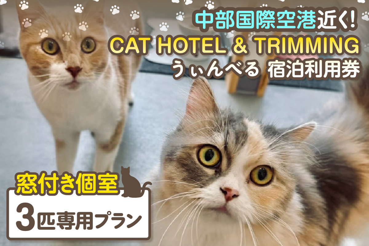 CAT HOTEL & TRIMMING　うぃんべる　宿泊利用券　3匹専用プラン│ペットホテル ペットと泊まれる 宿泊券 猫 キャット 猫ホテル 見守りサービス 猫専用ルーム 窓付き個室 見守りカメラ 1泊2日ノンゲージ トリミング 家族旅行 愛知県 常滑市