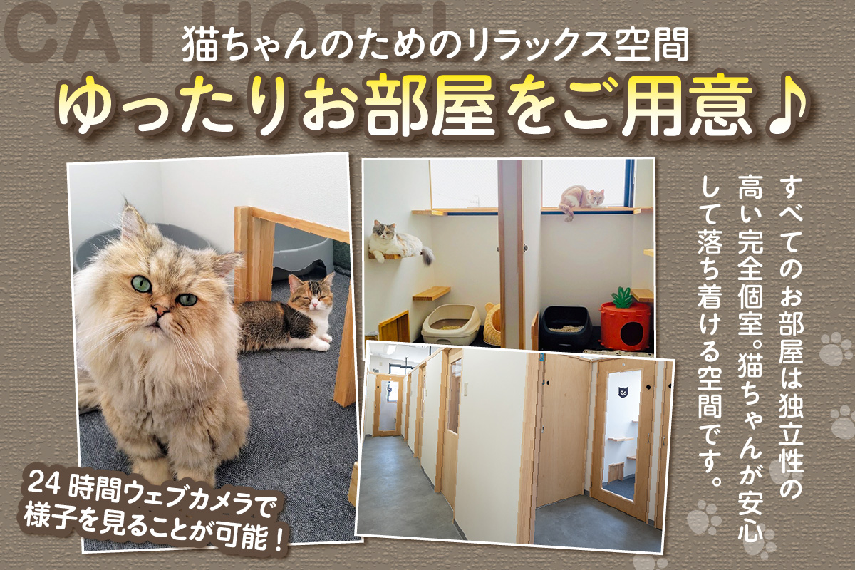 CAT HOTEL & TRIMMINGããããã¹ãã宿æ³å©çšåžã3å¹å°çšãã©ã³âãããããã« ããããšæ³ãŸãã 宿æ³åž ç« ãã£ãã ç«ããã« èŠå®ããµãŒãã¹ ç«å°çšã«ãŒã çªä»ãå宀 èŠå®ãã«ã¡ã© 1æ³2æ¥ãã³ã²ãŒãž ããªãã³ã° å®¶ææ
è¡ æç¥ç åžžæ»åž