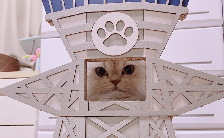 猫の爪とぎ　O型　にゃんずタワー
