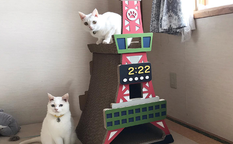 猫の爪とぎ　S型　にゃんずタワー