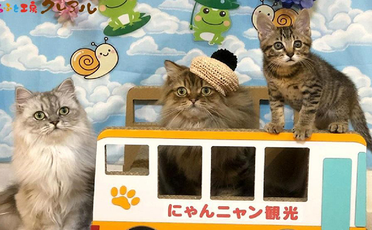 迪ォ縺ョ辷ェ縺ィ縺弱隕ウ蜈峨ヰ繧ケ