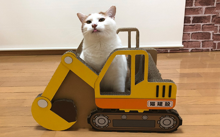 猫の爪とぎ　ショベルカー