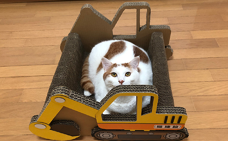猫の爪とぎ　ショベルカー