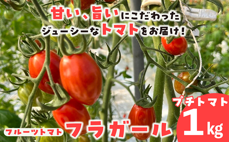 フルーツトマト　フラガール1kg　よこた農園　（へたなし　ミニトマト　プチトマト　ぷちとまと　高糖度）