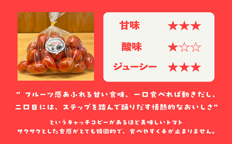 フルーツトマト　フラガール1kg　よこた農園　（ミニトマト　プチトマト　ぷちとまと　高糖度）