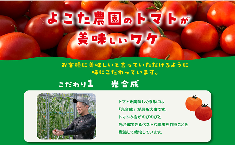 フルーツトマト　フラガール1kg　よこた農園　（ミニトマト　プチトマト　ぷちとまと　高糖度）