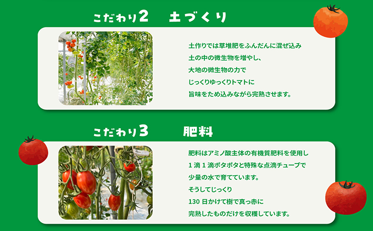 フルーツトマト　フラガール1kg　よこた農園　（へたなし　ミニトマト　プチトマト　ぷちとまと　高糖度）