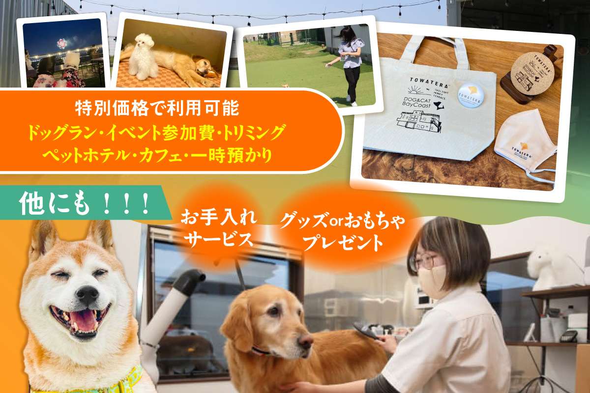 【TOWATERAメンバーズ】ドッグラン、ペットホテルなどをお得に利用できる「トワるん」会員入会＋ドッグラン使い放題【2頭】｜犬 ペット おでかけ 知多半島 伊勢湾 オーシャンビュー 海沿い 観光 体験チケット プール トリミング イベント ペットホテル 犬用ホテル カフェ ペット同伴 犬連れ ドッグラン 愛犬 大型犬 中型犬 小型犬 dog 利用券 体験券 広い 屋内 屋外 雨の日 会員権 愛知県 常滑市